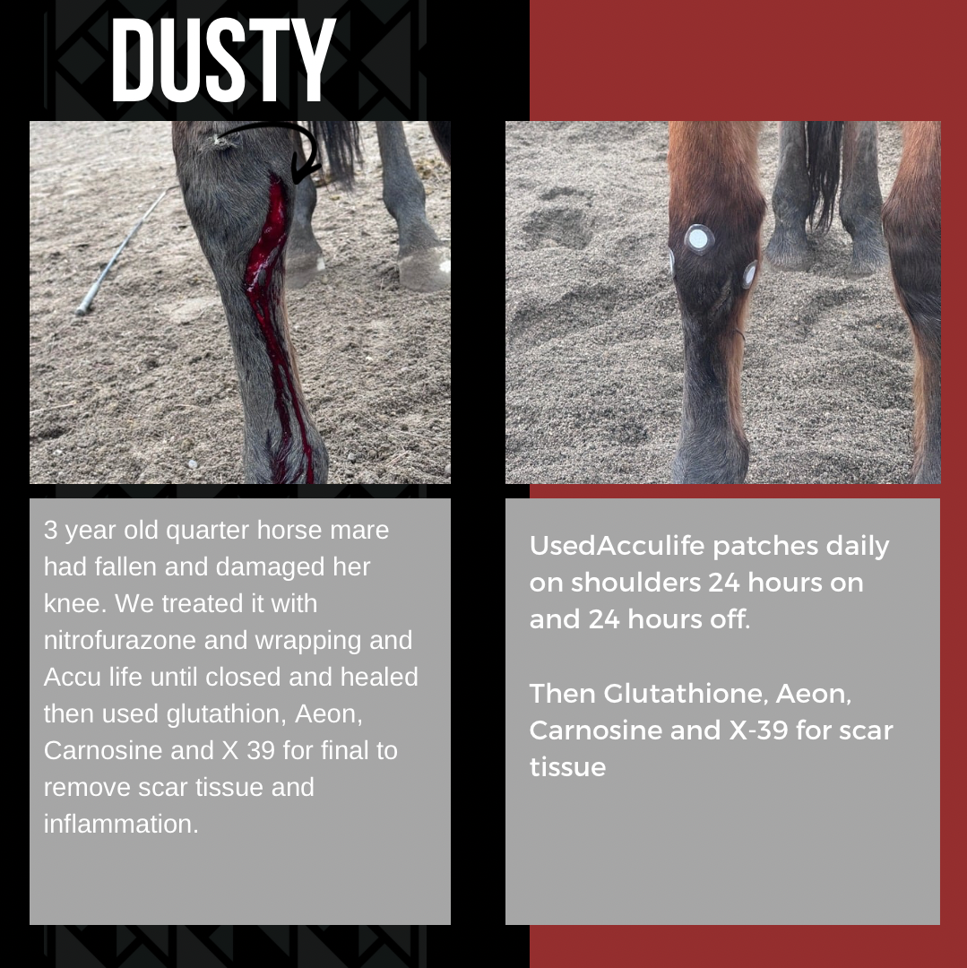 Dusty phototherapy success story