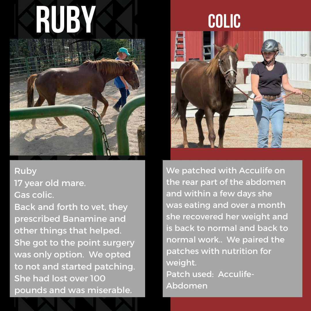 Ruby - Colic phototherapy success story