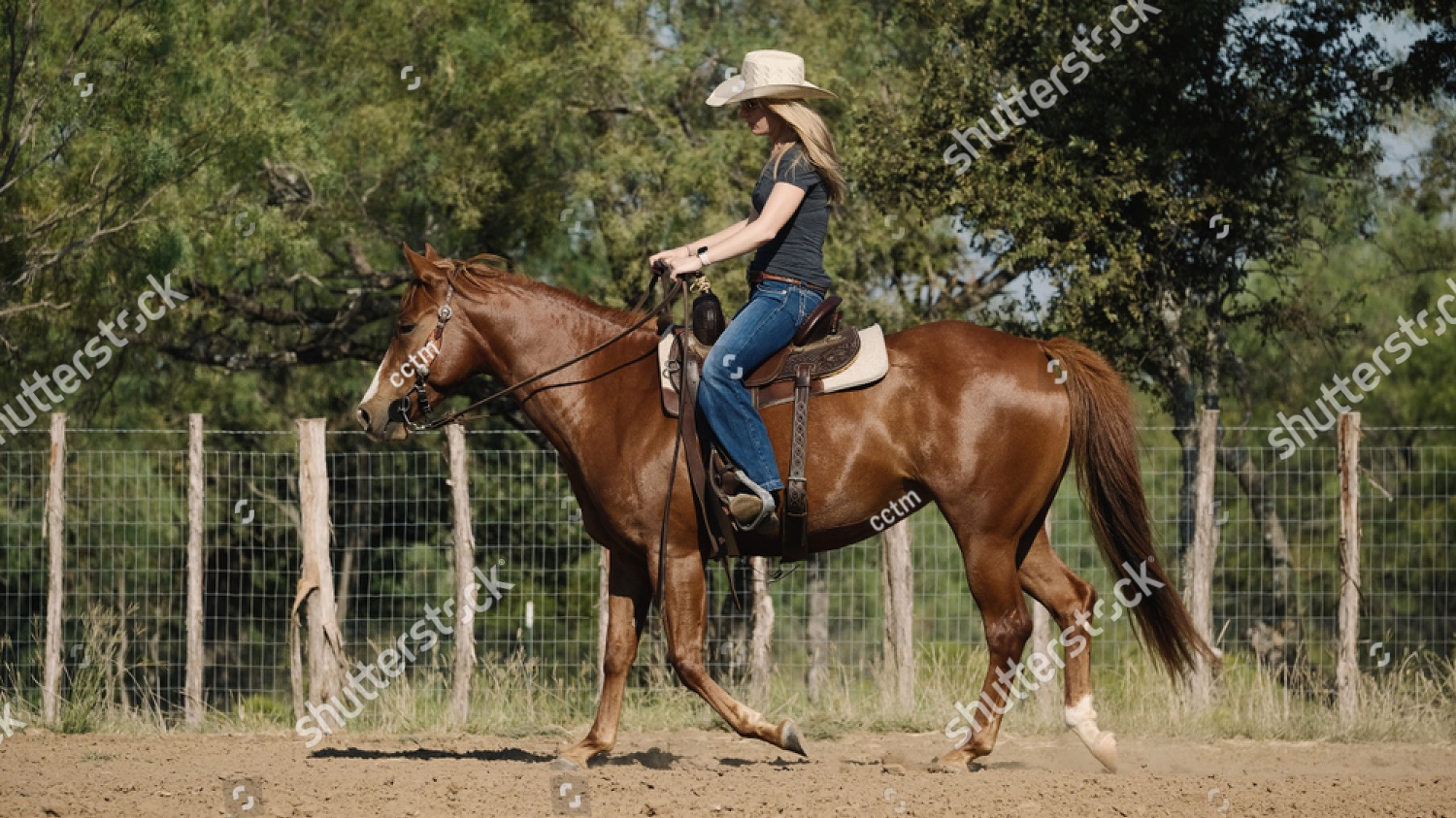 Adult Riding Clinic