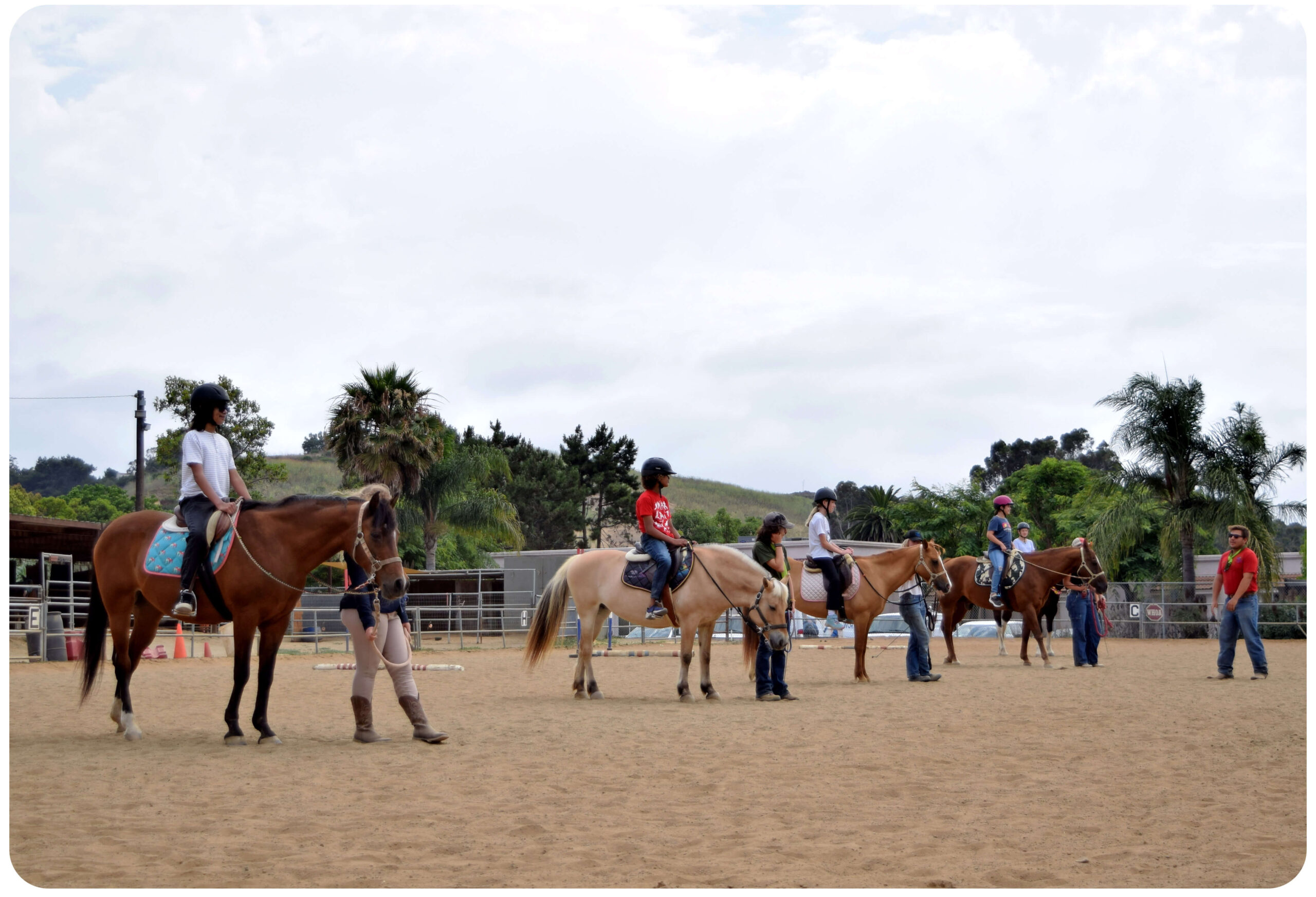 Adult Riding Clinic