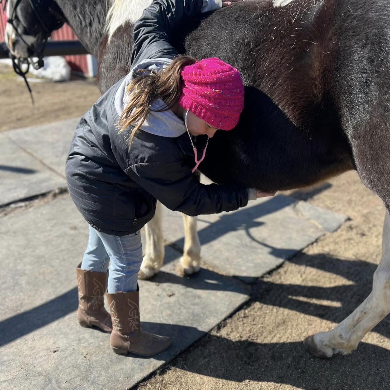 Riding Lessons