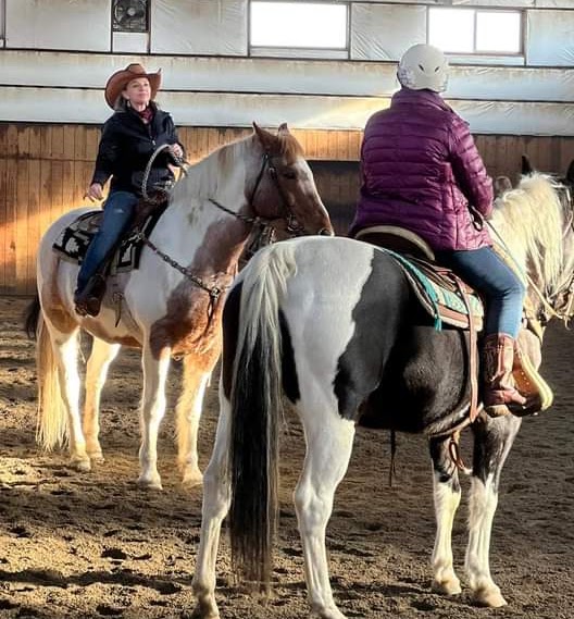 Saddle and tack