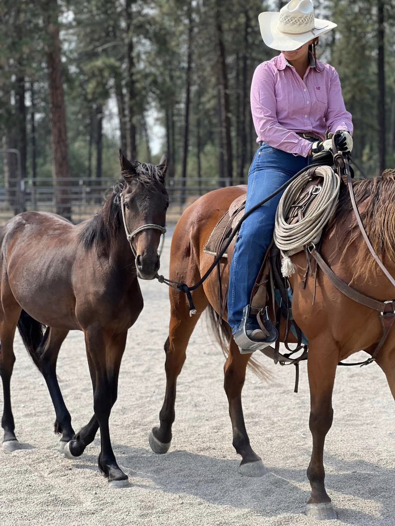 Riding lesson